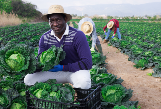 Smart Farming